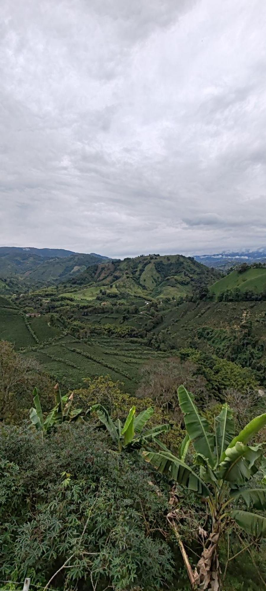 Campestre Del Campo